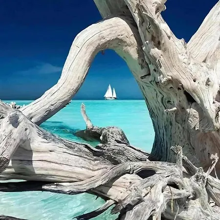 Maison & Piscine Privee Vue Panoramique Tres Calme Independant Porto-Vecchio (Corsica)